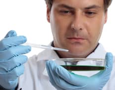 Slider image (3) Embryos | IVF Fertility Mexico